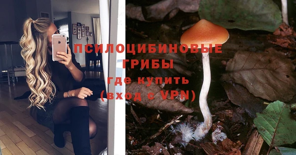 кокаин перу Каменногорск