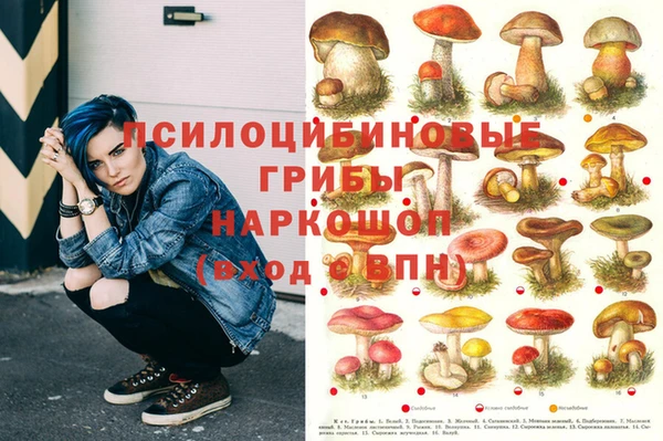 крисы Каменск-Шахтинский