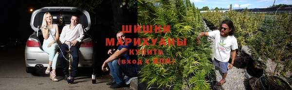 мет Иннополис