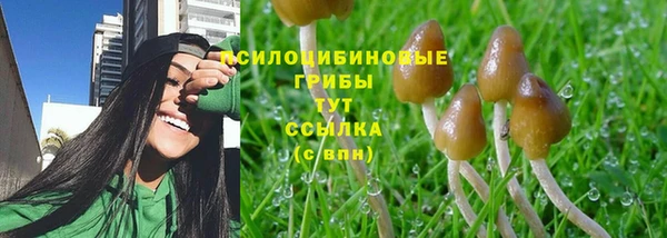 крисы Каменск-Шахтинский