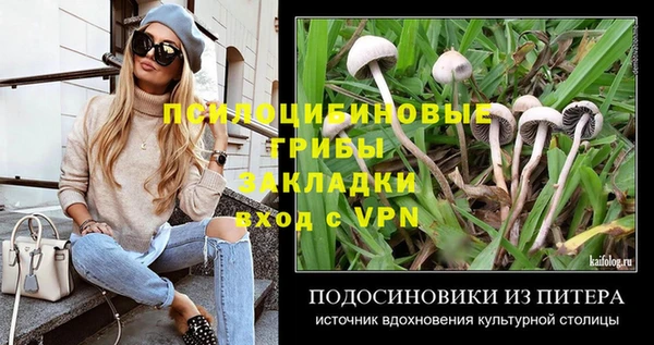 мяу мяу кристалл Инта