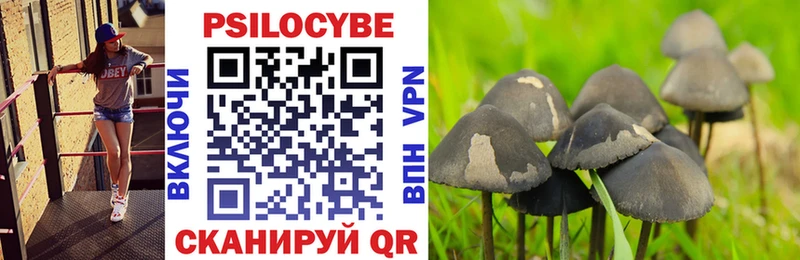 Псилоцибиновые грибы GOLDEN TEACHER  Купить закладки  Гай 