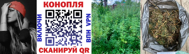 Купить где  Гай  Каннабис Ganja 